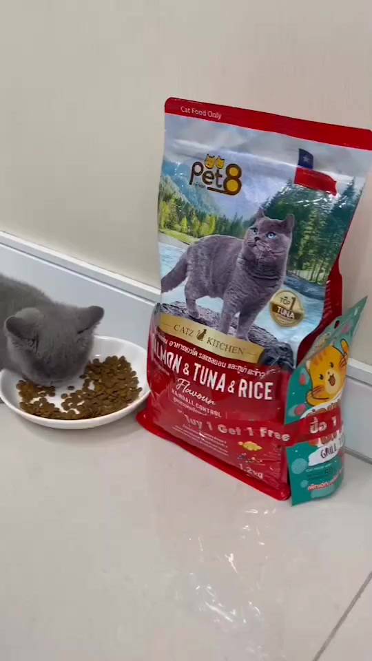 pet8-อาหารแมวชนิดเม็ด-สูตรแกะ-แซลมอน-ทูน่าและข้าว-hairball-control-เกรดพรีเมี่ยม-อาหารแมวถุง-2-7kg