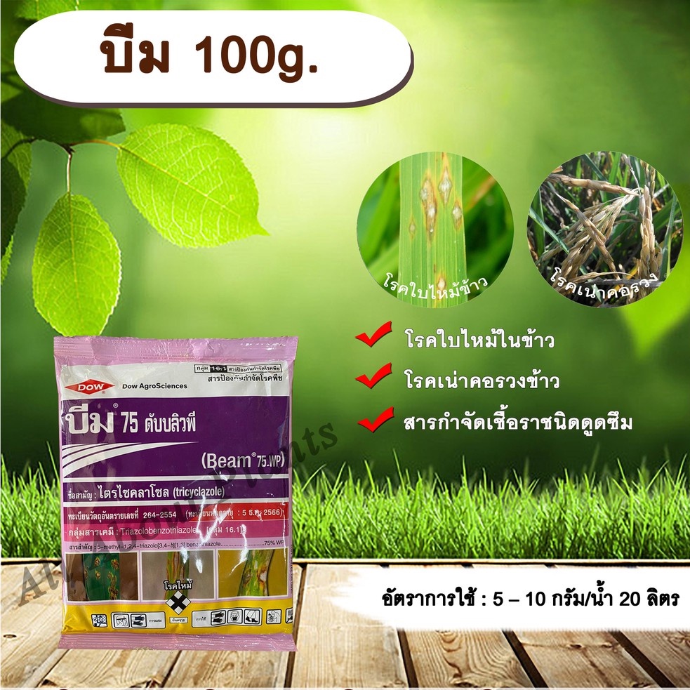 บีม-100g-ไตรไซคลาโซล-สารกำจัดเชื้อรา-โรคใบไหม้-โรคเน่าคอรวง-โรคในข้าว-โรคพืช-เชื้อรา