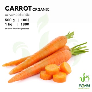 สินค้า แครอทออร์แกนิค Organic Carrot มาตรฐานผักออร์แกนิค IFOAM ผักสลัด ผักสด เก็บ-แพ็ค-ส่ง เก็บใหม่ทุกออเดอร์