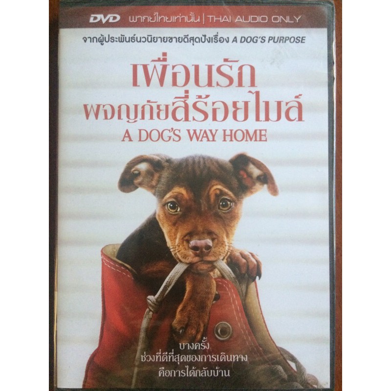 dogs-way-home-a-dvd-thai-audio-only-เพื่อนรักผจญภัยสี่ร้อยไมล์-ดีวีดีฉบับพากย์ไทยเท่านั้น