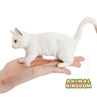 Animal Kingdom - โมเดลสัตว์ แมว ขาว ขนาด 17.50 CM (จากหาดใหญ่)