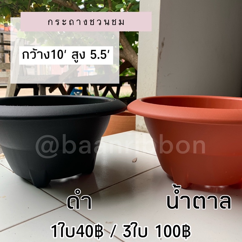 กระถางชวนชม-10-นิ้ว-ตกแต่งสวน-ไม่มีถาดรอง