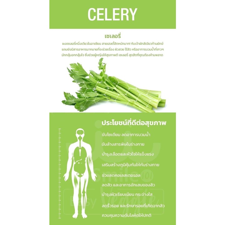 celery-เซเลอรีผงผัก-smile101-เนื้อผักสดดื่มได้-ผงละเอียดดื่มง่าย