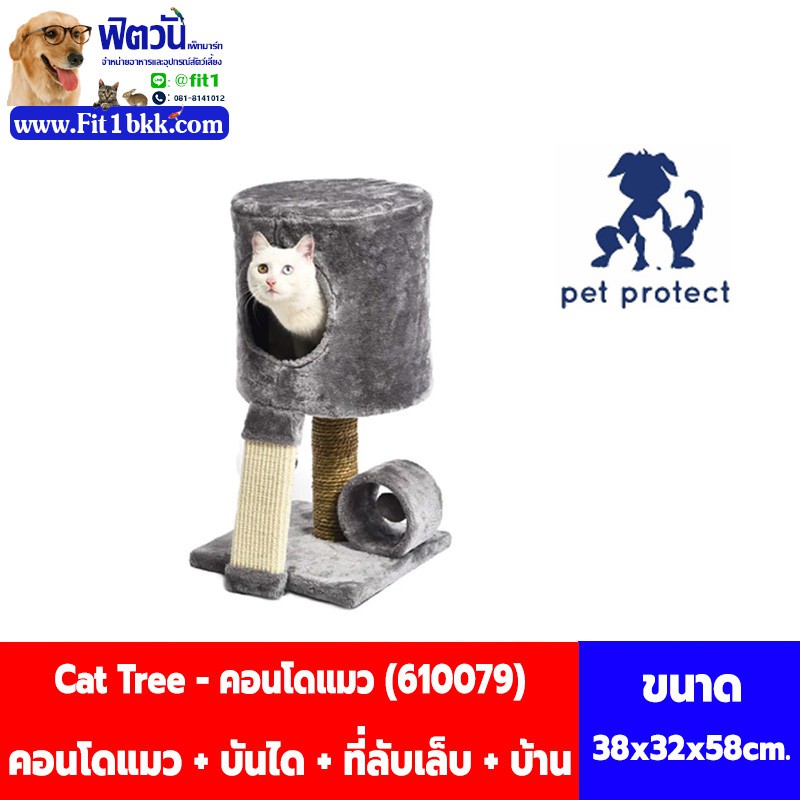 คอนโดแมว-บันได-บ้าน-cat-tree-610079