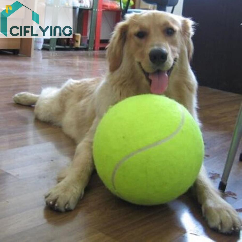 ciflying-9-5-big-giant-pet-dog-puppy-tennis-ball-thrower-chucker-launcher-play-toy