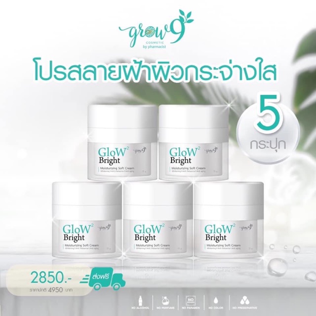 ส่งฟรี-grow2bright-5-กระปุก-ครีมบำรุงผิวหน้าลดฝ้ากระ-หน้าฉ่ำเด็ก