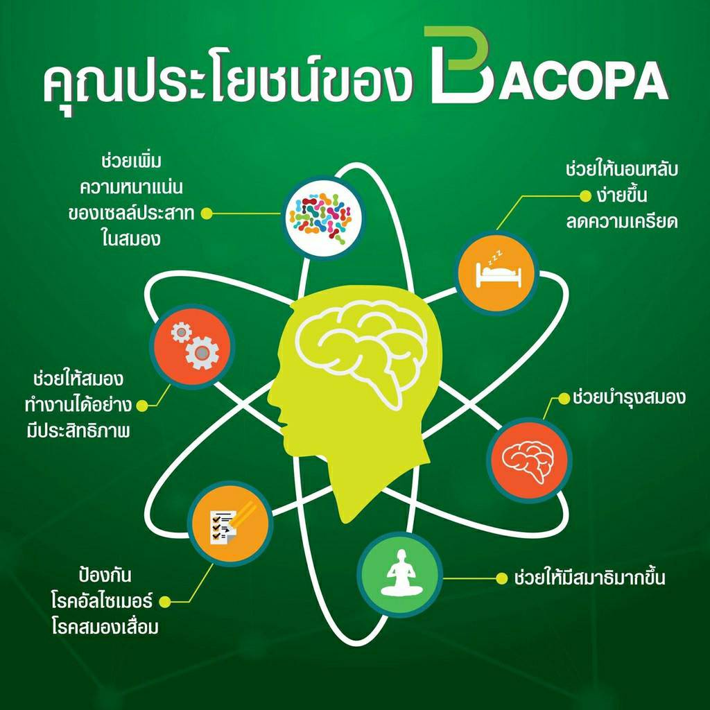 บาโคพา-บำรุงสมอง-ลดอาการหลงลืม-bacopa-giffarine-อาหารเสริม-สมุนไพร-เสริมความจำ