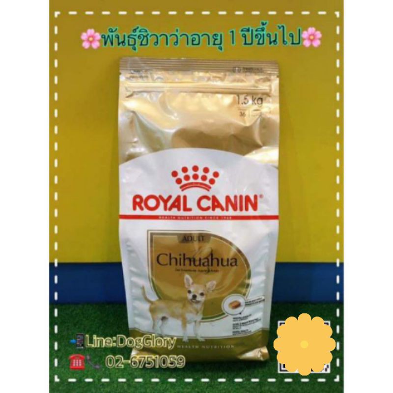 royal-canin-chihuahua-สูตรสุนัขพันธุ์ชิวาว่าอายุ-1-ปีขึ้นไป