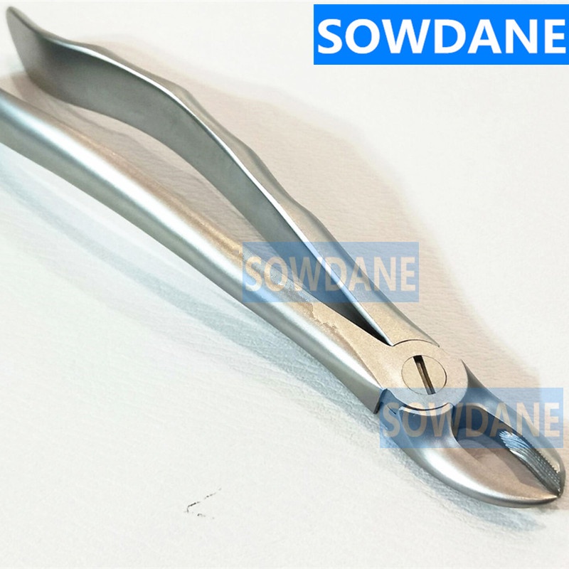 dental-adult-tooth-extraction-plier-for-upper-molars-left-gripping-in-depth-dental-orthodontic-surgery-forcep-dentist-t