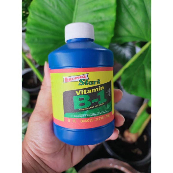 b-1-น้ำยาเร่งราก-ของแท้-นำเข้าจากสหรัฐอเมริกา-u-s-a-ปริมาณ-230-ml