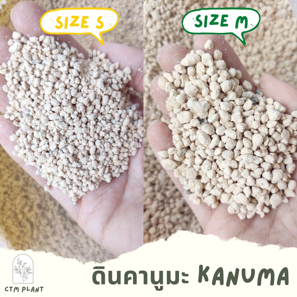 ดินคานูมะ-kanuma-500กรัม-ดินญี่ปุ่น-พร้อมส่ง-วัสดุปลูกแคคตัส-ดินแคคตัส-ไม้อวบน้ำ
