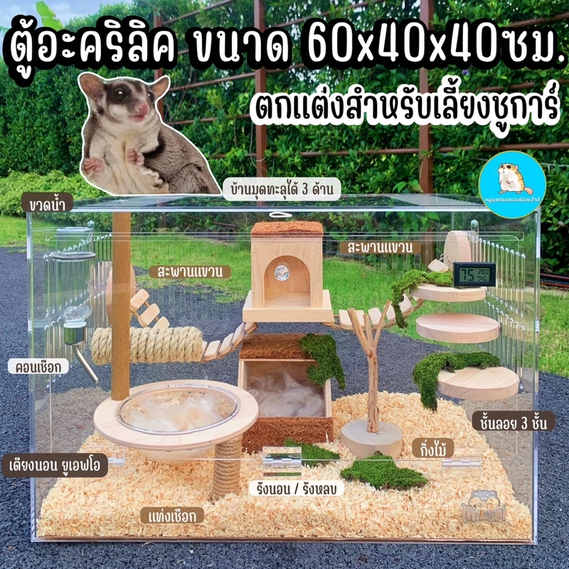 ส่งฟรี-ตู้เลี้ยงชูการ์-กรงชูการ์-ตกแต่งให้น้องกระโดดได้-ขนาด-60x40x40ซม-ขนาดกำลังพอดี-ตู้อะคริลิค-บ้านชูการ์-กระรอกบิน