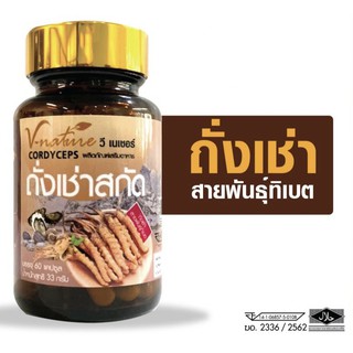 พร้อมส่ง v nature ถั่งเช่า คอดีเซ็ปส์ จากทิเบต cordyceps ซี เนเชอร์ ถังเช่า artiscent มหัศจรรย์แห่งสมุนไพรจักรพรรดิ