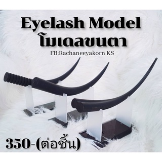 Eyelash Modelโมเดลขนตา
