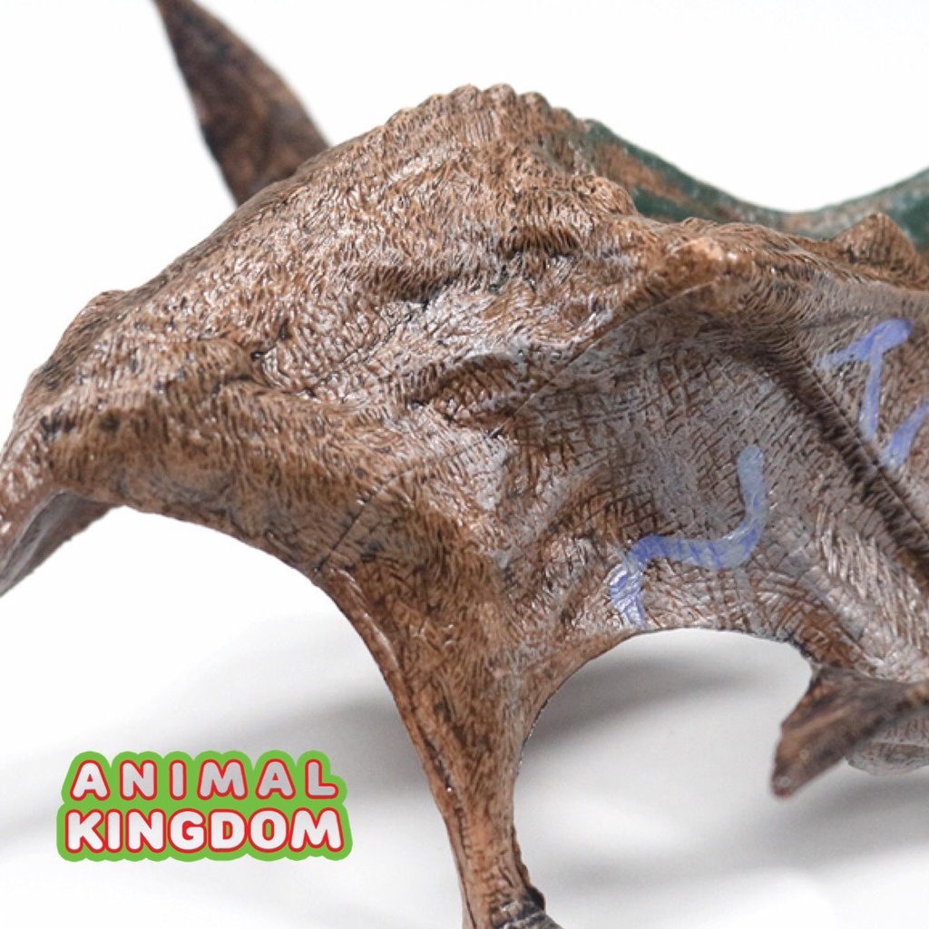 animal-kingdom-โมเดลไดโนเสาร์-hatzegopteryx-ขนาด-19-00-cm-จากหาดใหญ่