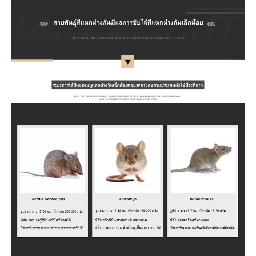 เครื่องไล่หนู-ไล่งู-และแมลง-ป้องกันสัตว์มีพิษ-พลังงานแสงอาทิตย์