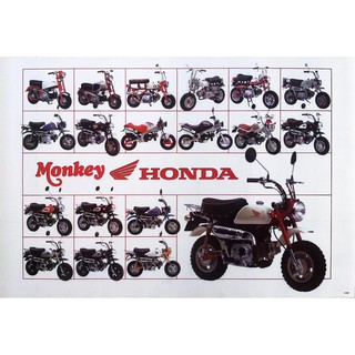 โปสเตอร์ รูปถ่าย รถมอเตอร์ไซค์ ฮอนด้า HONDA Monkey Bike POSTER 24”X35” Inch JAPANESE Mini Motorbikes V3