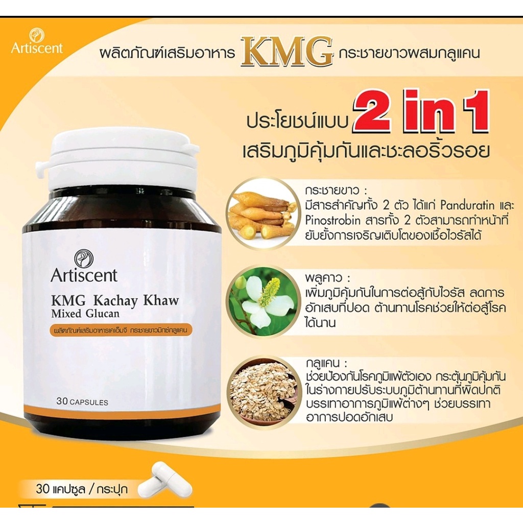 kmg-kachay-khaw-miexed-glucan-เคเอ็มจี-กระชายขาว-มิกซ์กลูแคน-artiscent