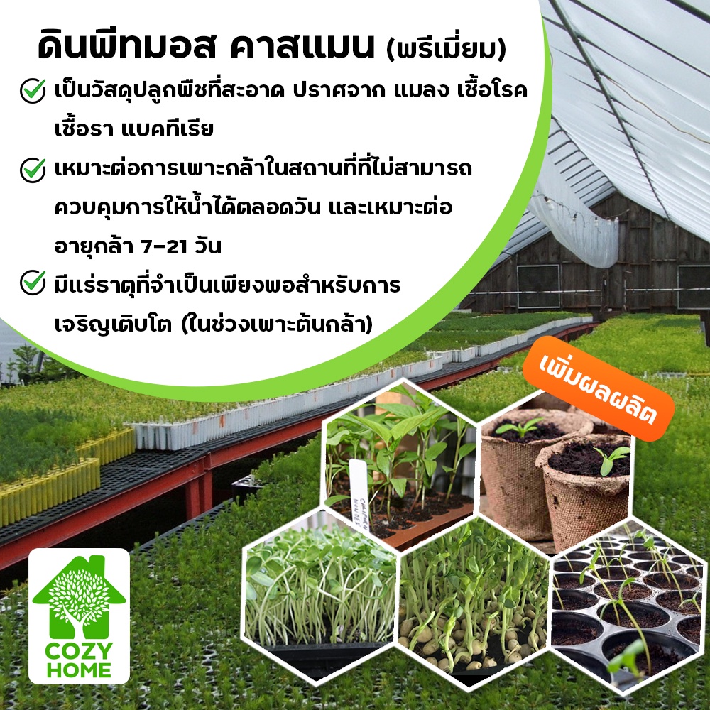 ดินพีทมอส-คลาสแมน-peat-moss-klasmann-นำเข้าจากเยอรมัน-เพาะแคตตัส-เพาะเมล็ด-เพาะกล้าหรือผสมดินเพื่อเพิ่มประสิทธิภาพ