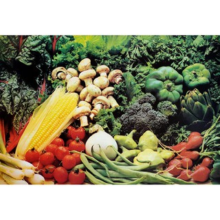โปสเตอร์ รูปถ่าย รวม ผักสด ผลไม้ มังสวิรัติ POSTER 21”x30.5” นิ้ว Fresh Raw Vegetables And Fruits Vegan