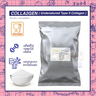 Colla2gen (Undenatured Collagen Type II) คอลลาเจน ขนิดที่ 2 เน้น บำรุงข้อต่อ ชะลอ และฟื้นฟู กระดูกอ่อน เอ็น ข้อ