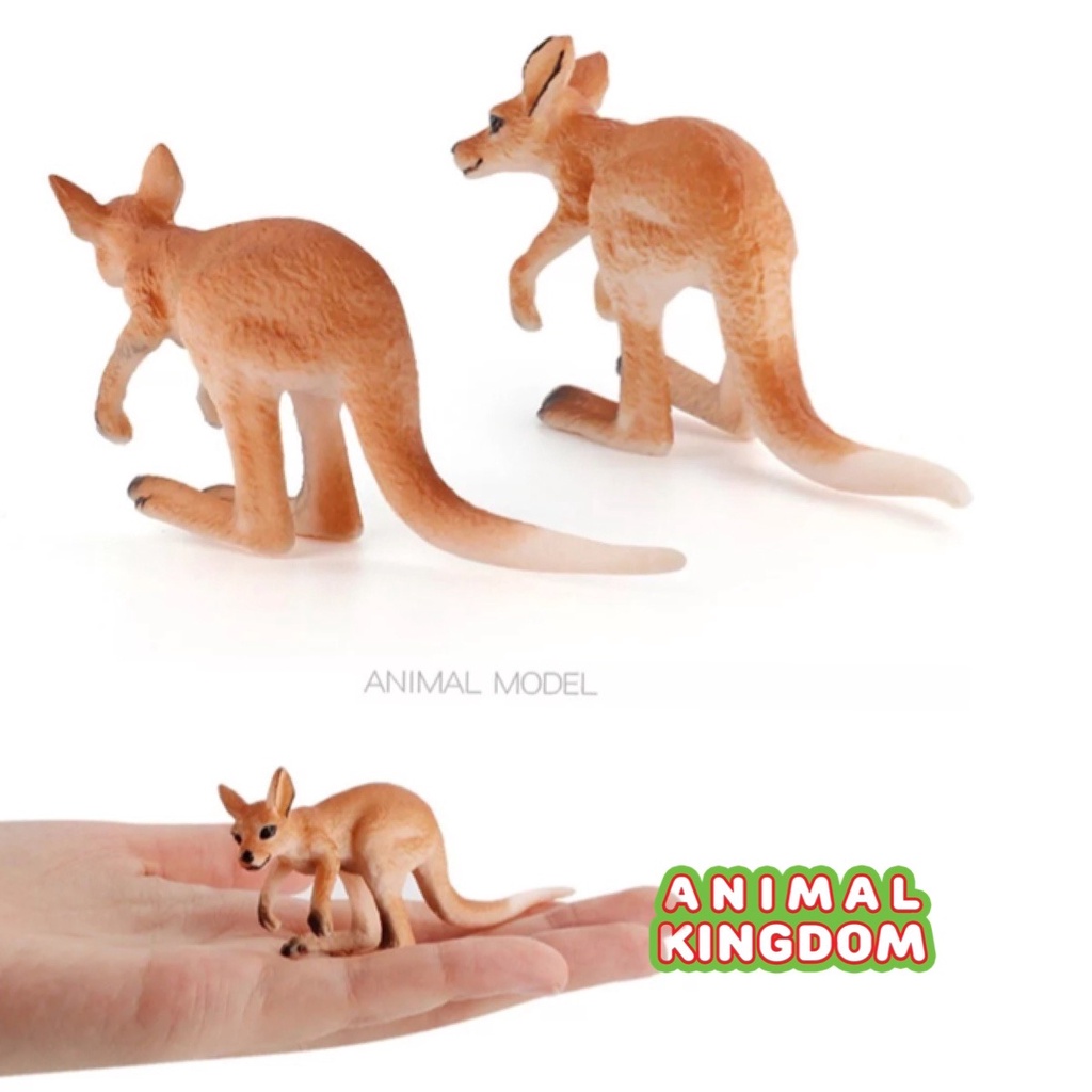 animal-kingdom-โมเดลสัตว์-จิงโจ้-พ่อแม่ลูก-ชุด-4-ตัว-จากหาดใหญ่