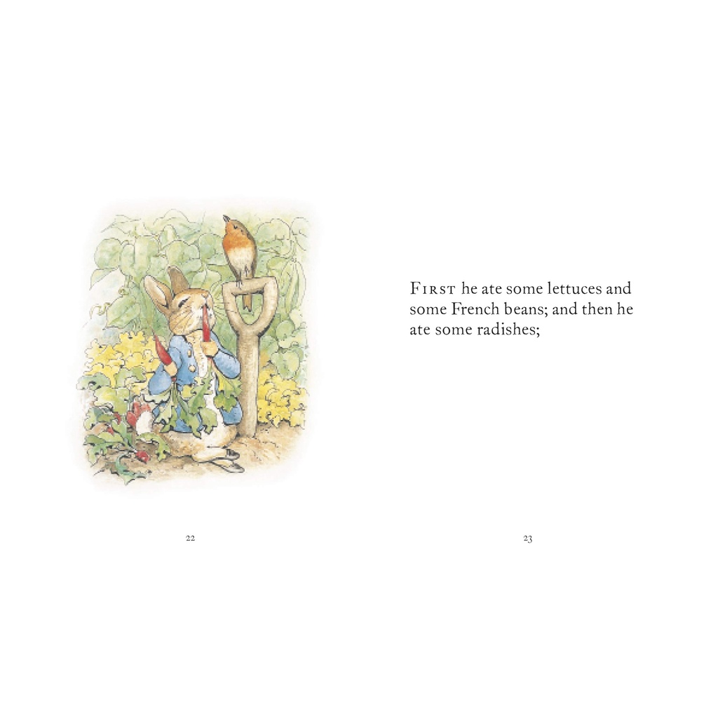 the-tale-of-peter-rabbit-the-world-of-beatrix-potter-beatrix-potter-hardback