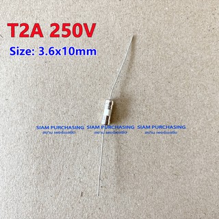 T2A 250V CERAMIC FUSE SIZE: 3.6X10MM. หางหนู