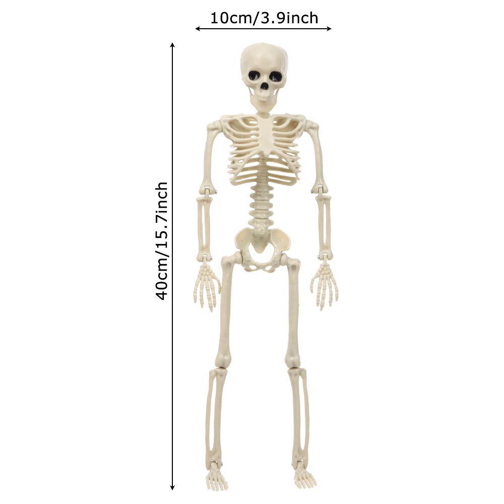 daphs-โครงกระดูกมนุษย์-40-10-ซม-ตกแต่งปาร์ตี้แขวนอุปกรณ์ประกอบฉากที่น่ากลัว