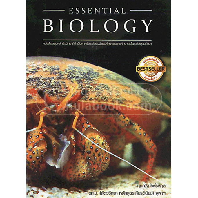 9789747539288-essential-biology-หนังสือสรุปหลักชีววิทยาที่จำเป็นสำหรับระดับชั้นมัธยมศึกษาและการศึกษาต่อในระดับอุด