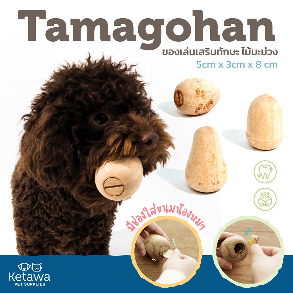 ภาพหน้าปกสินค้าของเล่นสุนัขเสริมทักษะ จากไม้มะม่วง Tamagohan เเบรนด์ Replus จากญี่ปุ่น จากร้าน ketawapet บน Shopee