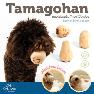 ภาพขนาดย่อของภาพหน้าปกสินค้าของเล่นสุนัขเสริมทักษะ จากไม้มะม่วง Tamagohan เเบรนด์ Replus จากญี่ปุ่น จากร้าน ketawapet บน Shopee
