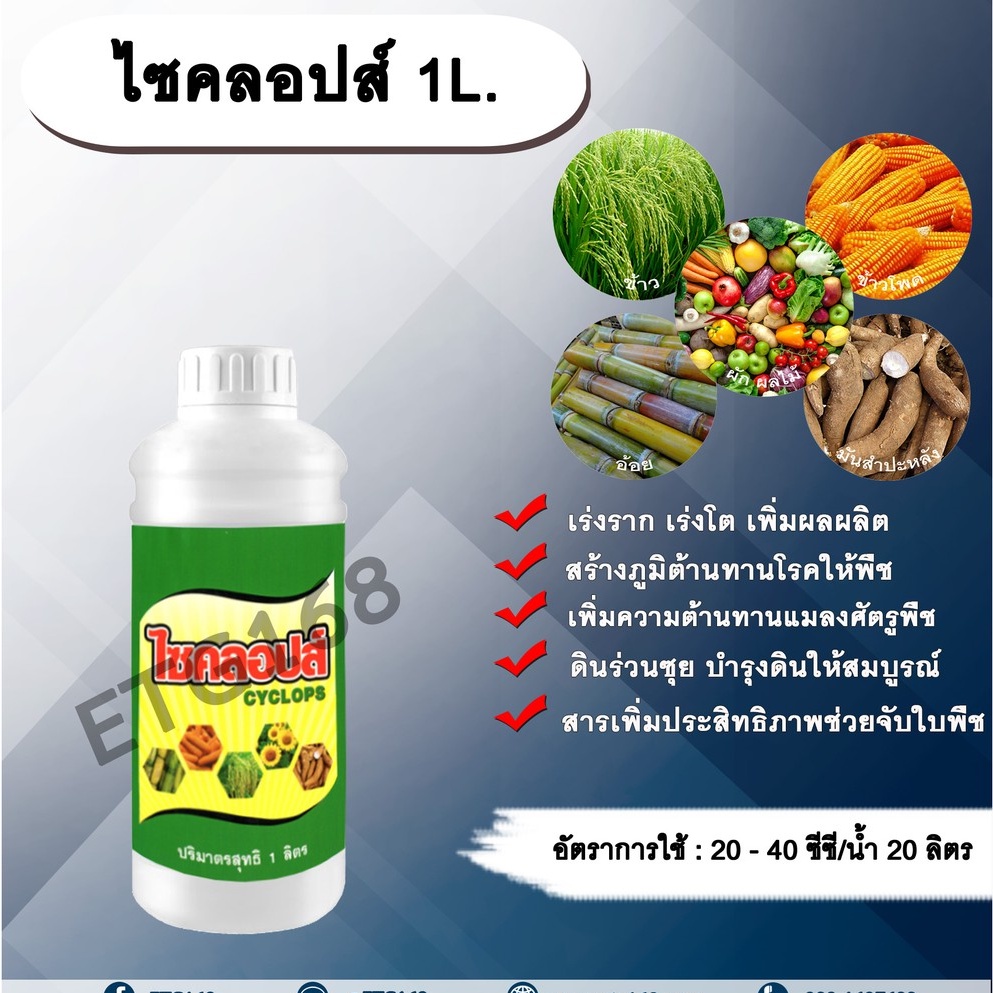 ไซคลอปส์-1l-ไคโตซานเกรดพรีเมี่ยม-บำรุงราก-เร่งราก-เร่งโต-เพิ่มผลผลิต-สร้างภูมิต้านทานให้พืช-ต้านทานโรคและแมลง