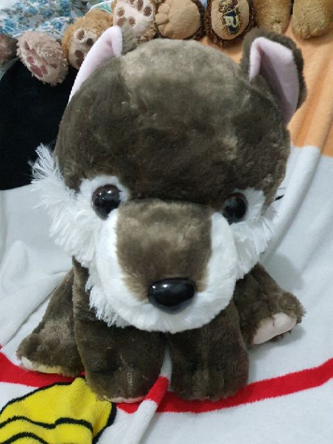 amuse-wolf-40cm-แท้-ญี่ปุ่น-พร้อมส่ง-ตุ๊กตาหมาจิ้งจอก-สีเทา