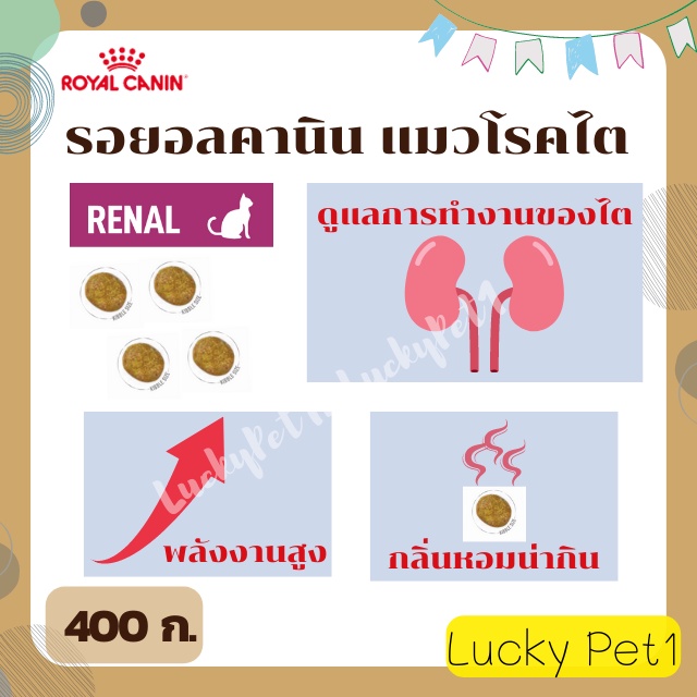 royal-canin-renal-feline-รอยอลคานิน-อาหารเม็ดแมวโรคไต-400-ก