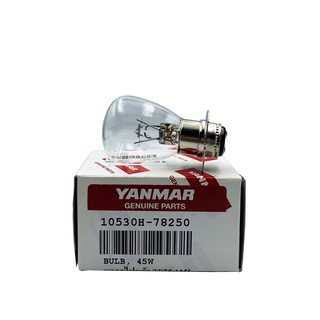 YANMAR หลอดไฟหน้า รุ่น TF 75-115 L, LM แท้