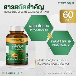 Herb Siam White Galingale Extract กระชายขาว 60แคปซูล
