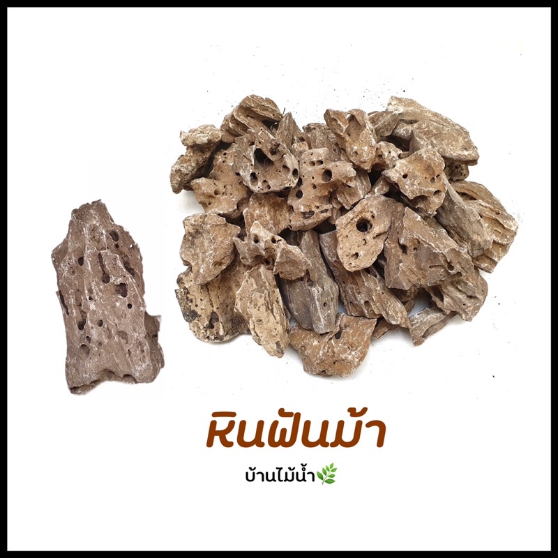 หินฟันม้า-feldspar-stones-ตกแต่งตู้ปลา-ตู้ไม้น้ำ-หินตู้ปลา-หินตู้ไม้น้ำ-หินตกแต่งสวน-หินตกแต่งตู้ปลา-บ้านไม้น้ำ