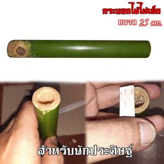 สินค้า Bamboo bon-g ไม้ไผ่ ปล้องเล็ก 1 ปล้อง ยาว 25 cm.