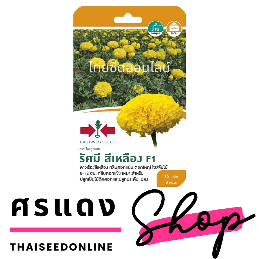 ภาพสินค้าGGEW เมล็ดพันธุ์ซฟ ดาวเรืองตัดดอกและประดับแปลง ดาวเรืองรัศมีสีเหลือง ตราศรแดง Marigold เมล็ดดอกไม้ จากร้าน thaiseedonline บน Shopee ภาพที่ 1