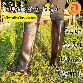 ภาพหน้าปกสินค้าดาวเรือง Dao Rueng 6019 บูทยาว บูทกันน้ำ ยางพาราแท้💯 พร้อมส่งทุกเบอร์ 10 - 11.5 ที่เกี่ยวข้อง