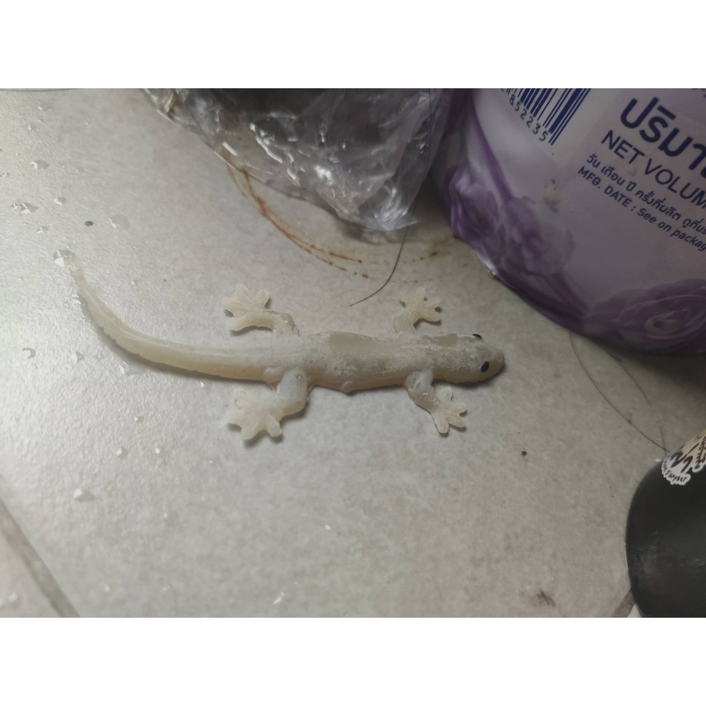 ภาพหน้าปกสินค้าfake lizard จิ้งจกปลอม แกล้งแมว ทาสแมวต้องมี ตกแต่งสวน ทำให้สวนคุณดูเป็นธรรมชาติ เหมือนมีจิ้งจกจริงๆ จากร้าน pakkkkin บน Shopee