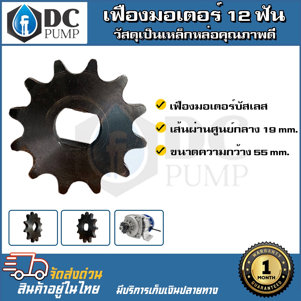 เฟืองมอเตอร์บัสเลส-12-ฟัน-เส้นผ่าศูนย์กลาง-19mm-ขนาดความกว้าง-55mm-เฟืองมอเตอร์บัสเลส-เฟืองจักรยาน