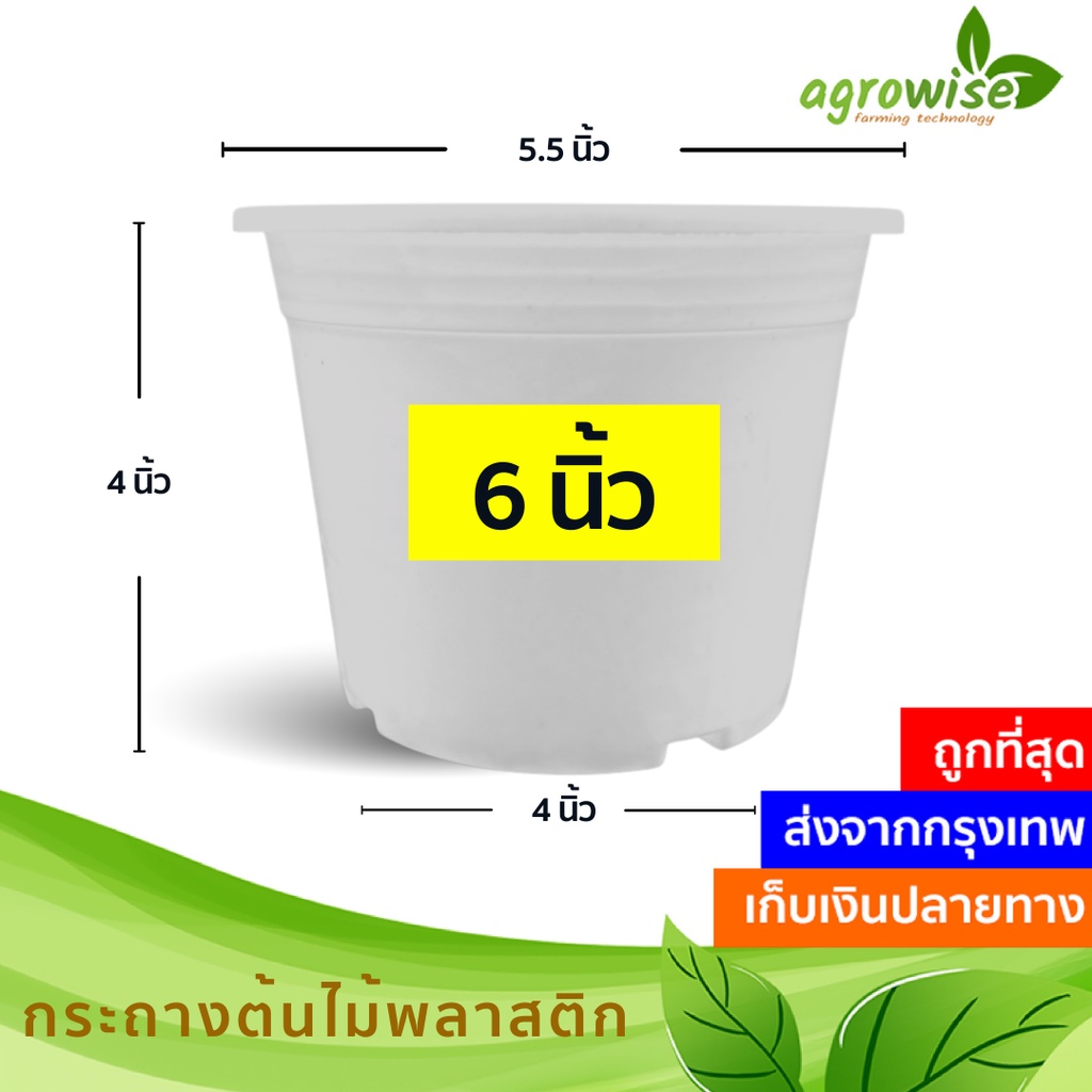 กระถางต้นไม้พลาสติก-สีขาว-ครีม-6-นิ้ว-ราคาส่ง