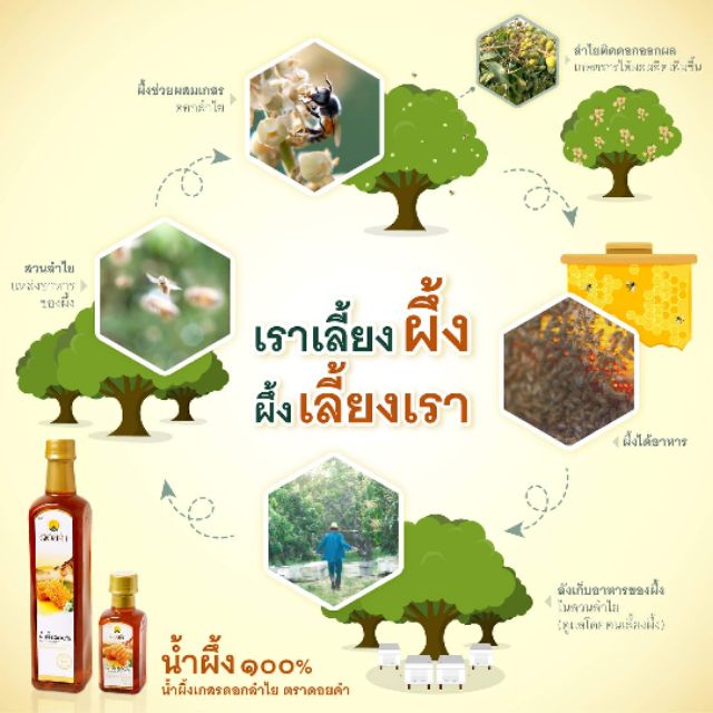 ภาพสินค้าดอยคำ น้ำผึ้ง100%(770กรัม) หอมหวานเป็นเอกลัษณ์ จากร้าน doikham_nonsungkorat บน Shopee ภาพที่ 4