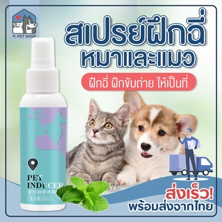 ภาพหน้าปกสินค้า🐶🐱 2 แถม 1 สเปรย์ฝึกฉี่ สเปร์ยฝึกถ่าย สำหรับสุนัขและแมว สเปรย์ฝึกฉี่ลูกสุนัข สเปรย์ให้ฉี่หรือขับถ่าย ฝึกวินัยหมาแมว ที่เกี่ยวข้อง