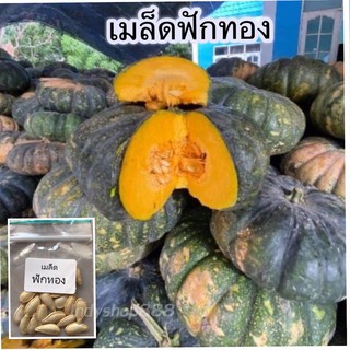 เมล็ดพันธุ์ ฟักทอง เมล็ดผักสวนครัว 50 เมล็ด [10 แถม 1 คละได้]