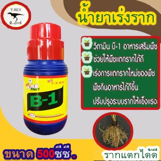 b1-น้ำยาเร่งราก-ขนาด-100-500cc-เร่งราก-เเคคตัส-กระบองเพชร-ต้นไม้ทุกชนิด