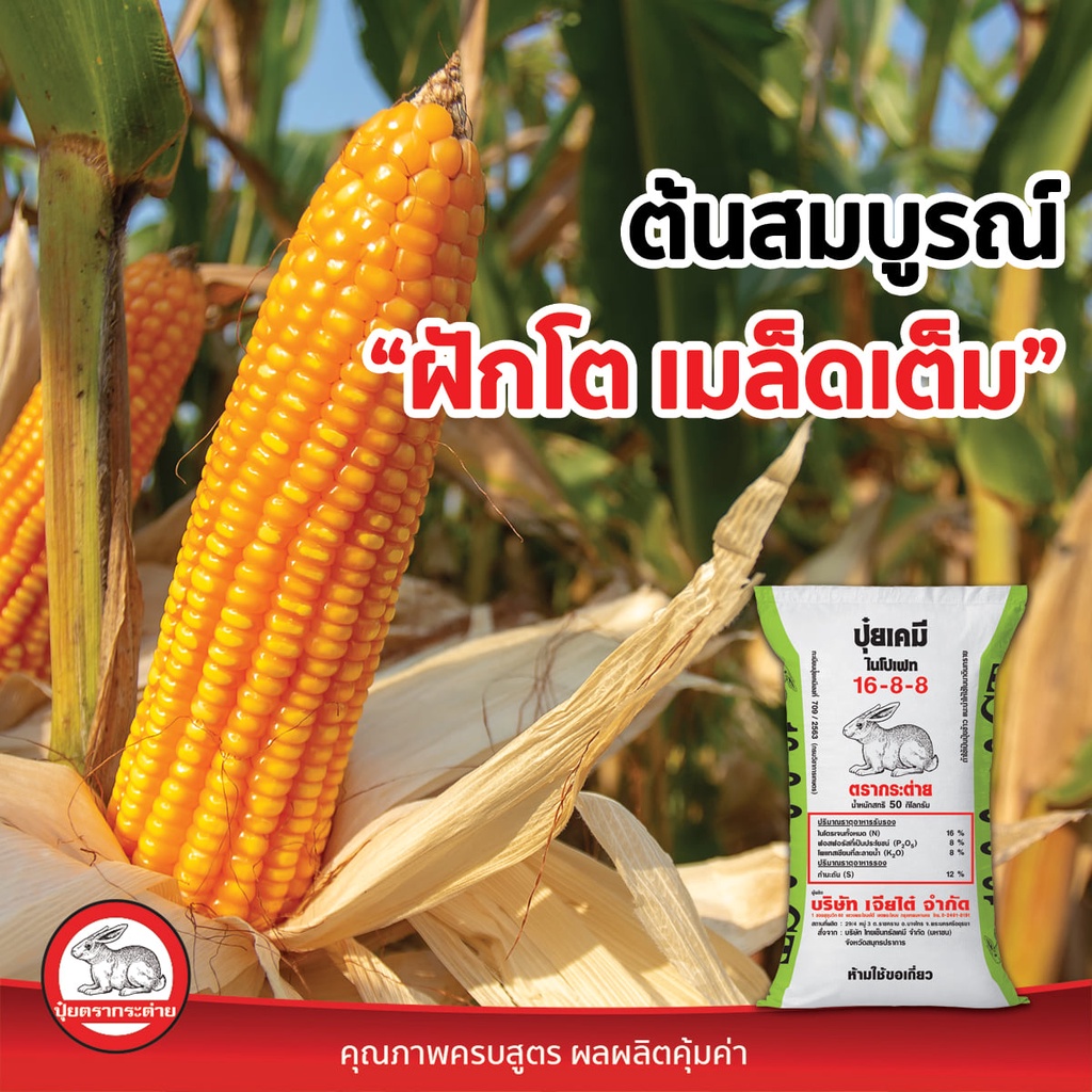 ปุ๋ยเคมี-สูตร-16-8-8-ct-ปุ๋ยเร่งดอก-ปุ๋ยเร่งต้น-แบ่งขาย-ขนาด-1-kg