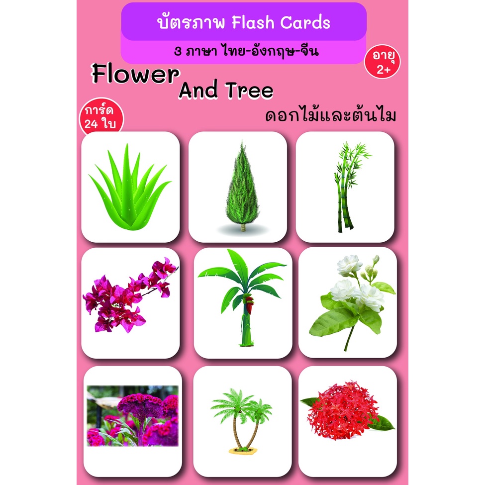 บัตรภาพ-flash-cards-ดอกไม้กับต้นไม้